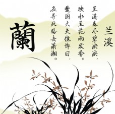 兰花书法素材