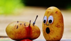 可爱土豆自杀