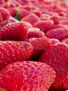 鲜美多汁的草莓