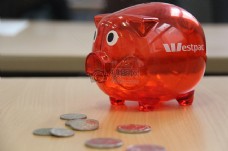 红色的小猪存钱罐