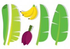 健康饮食香蕉叶和水果
