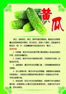 绿色蔬菜黄瓜海报