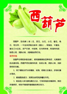 绿色蔬菜西葫芦海报