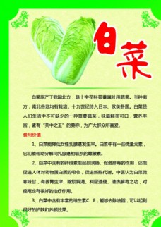 绿色蔬菜白菜海报