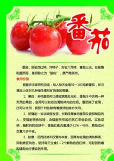 绿色蔬菜番茄海报