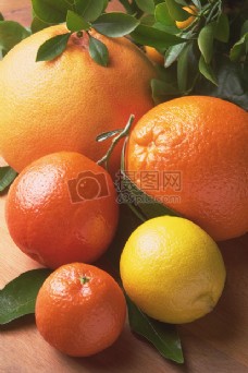 大小不一的橙子