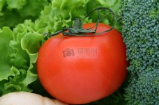 健康蔬菜健康的樱桃番茄生菜和蔬菜