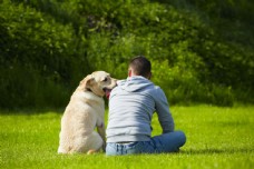 宠物狗坐在草地上的狗与男人图片