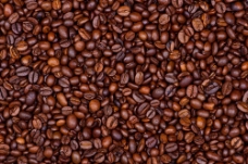 咖啡豆图片