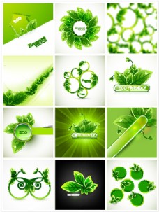 绿色叶子绿色环保标签