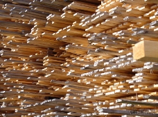 木柴密集堆放的木材
