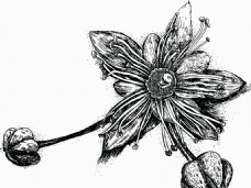 植物图案花纹花纹植物图案图腾叶子