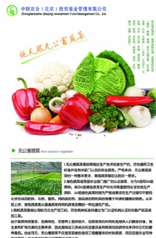 蔬菜蚕豆蔬菜展板