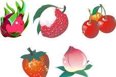 水珠素材火龙果草莓樱桃桃子