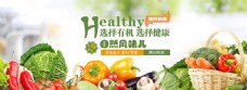 绿色蔬菜有机蔬菜banner