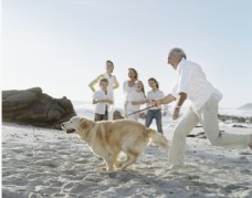宠物狗沙滩上玩耍的一家人图片