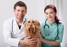 男女兽医与狗图片
