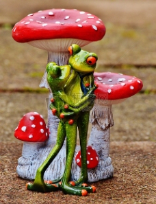 蘑菇下跳舞的青蛙夫妻