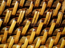 藤条编织的编织物