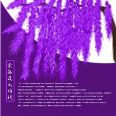 紫藤海报背景