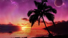 海边风景黄昏海边椰子树风景图片