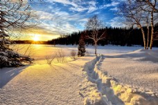 冬天雪景冬天雪地里的太阳高清素材背景图片