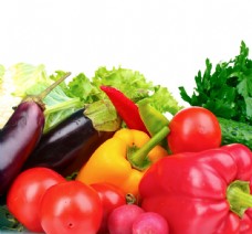 绿色蔬菜Freshvegetablesisolatedonwhite5图片