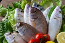 新鲜鱼肉与新鲜蔬菜图片