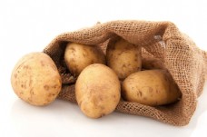 一袋土豆图片