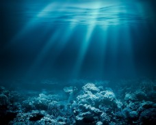 蓝色海底世界图片