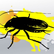 蟑螂的图形模板元素图标矢量图案