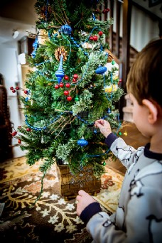 节日，装饰，圣诞节，儿童，圣诞节，树，装饰，修整的，树