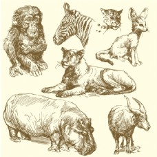7款手绘野生动物矢量素材