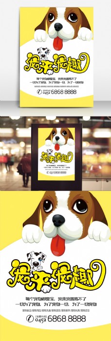 宠物狗宠来宠趣宠物店宣传海报