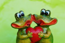 青蛙夫妻