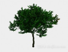 室外模型室外绿色植树3d模型下载