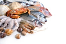 食材海鲜海鲜食材摄影图片