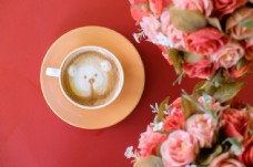 鲜花与小熊咖啡杯图片