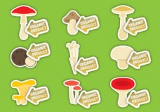 秋季新品蘑菇的标签向量