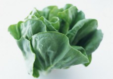 绿色蔬菜新鲜蔬菜摄影图片