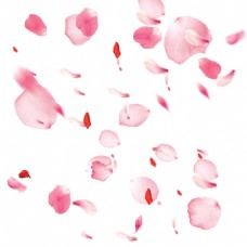 淘宝背景桃花花瓣节日鲜花飘落装饰粉红素材背景图片