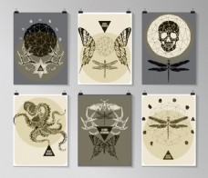 骷髅动物昆虫海报图片
