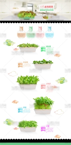 绿色蔬菜绿色环保淘宝盆栽店铺活动页psd分层素材