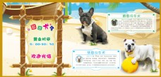 宠物狗宠物沙滩风格海报DM宣传单