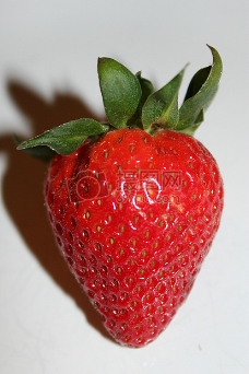 柔嫩之多的草莓