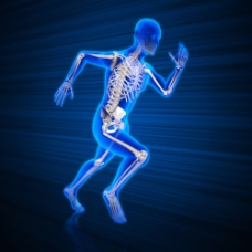 奔跑时的男性人体骨骼图片