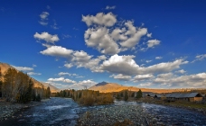 北疆风景