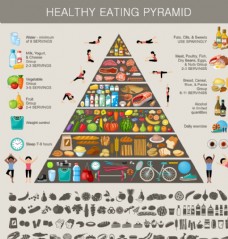 其他生物精美健康饮食金字塔设计矢量素材