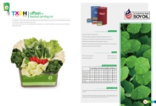 瓜果蔬菜画册模板 PSD素材