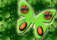 绿色背景的蝴蝶